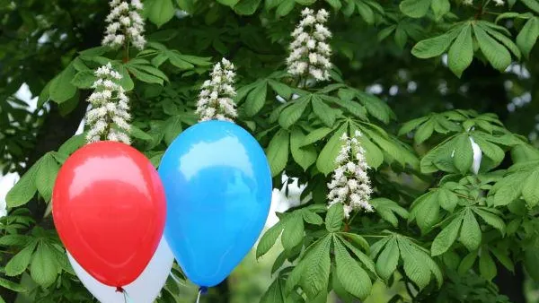 Аллею из 40 каштанов посадили медики из Ступина