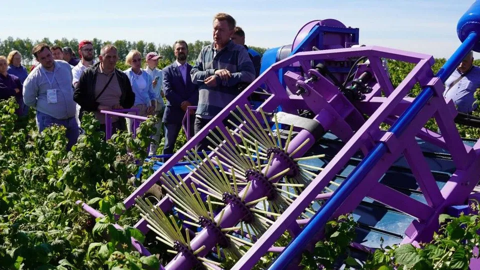 Фото: Министерство сельского хозяйства и продовольствия Московской области