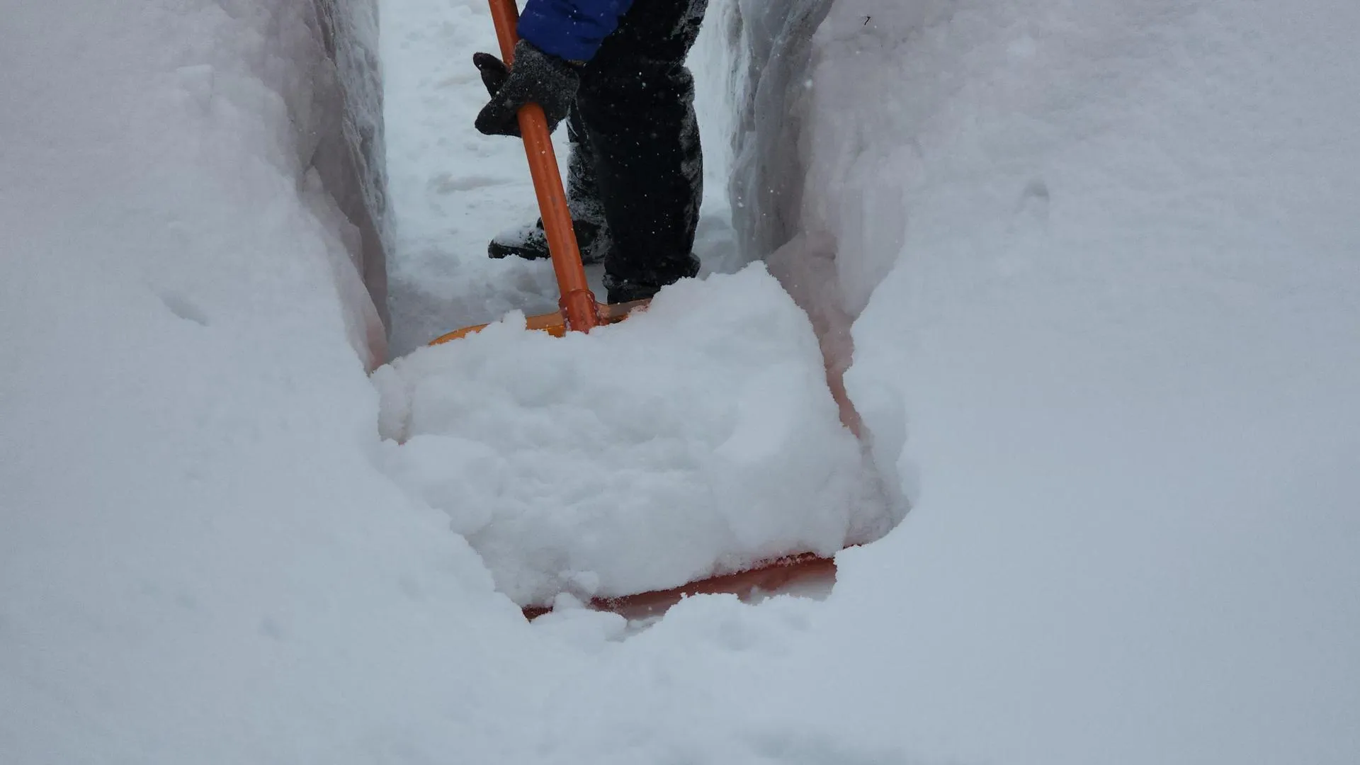 МедиаБанк Подмосковья/Юлия Смагринская