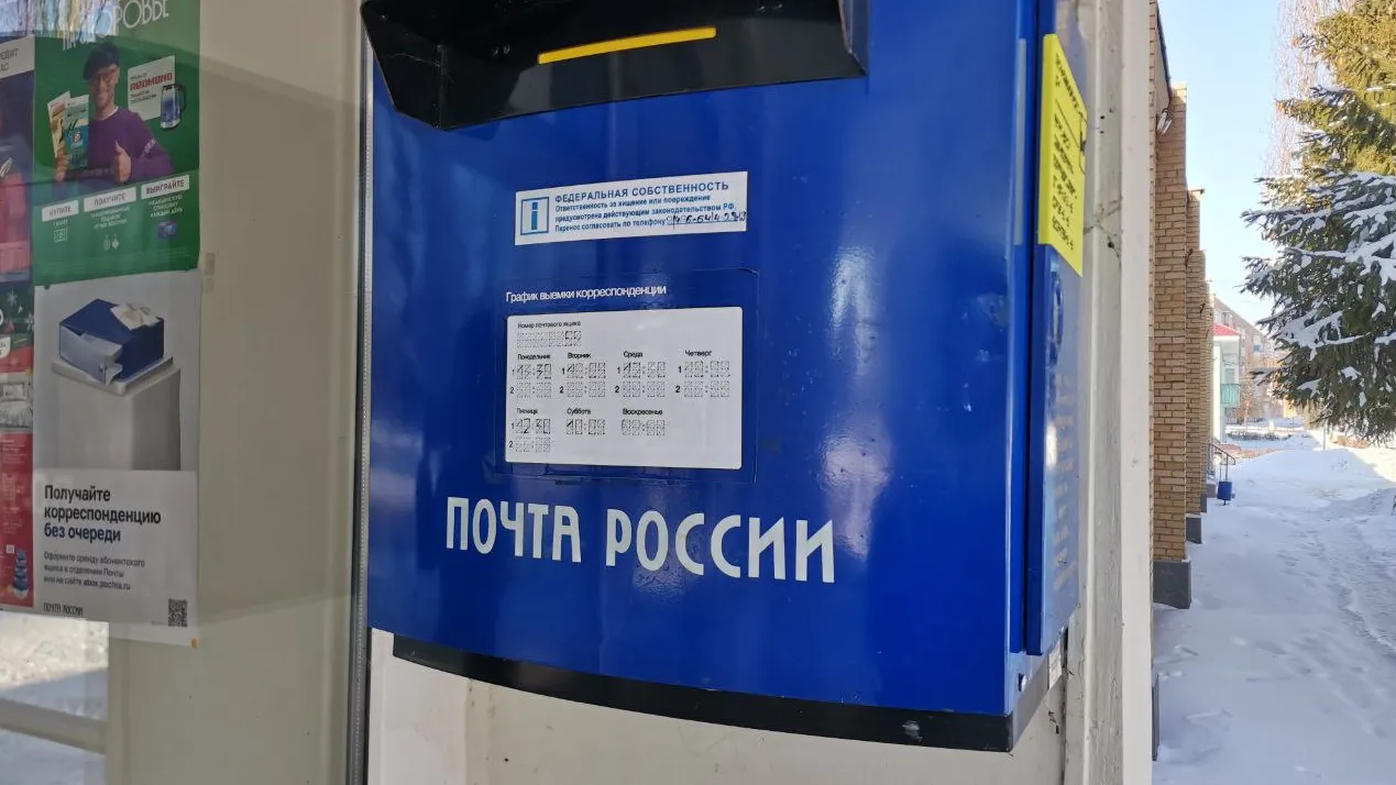 Дарья Кургузова