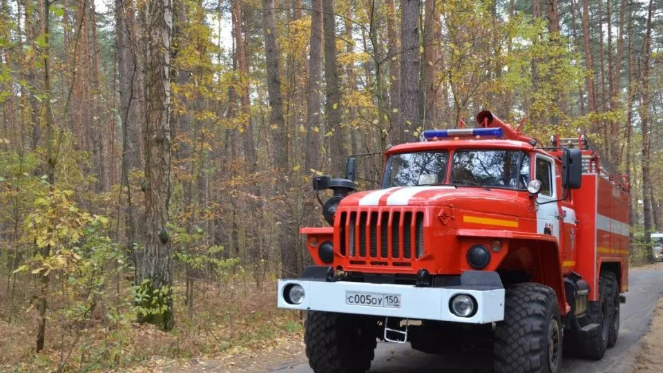 Фото: ГКУ МО «Мособлпожспас»