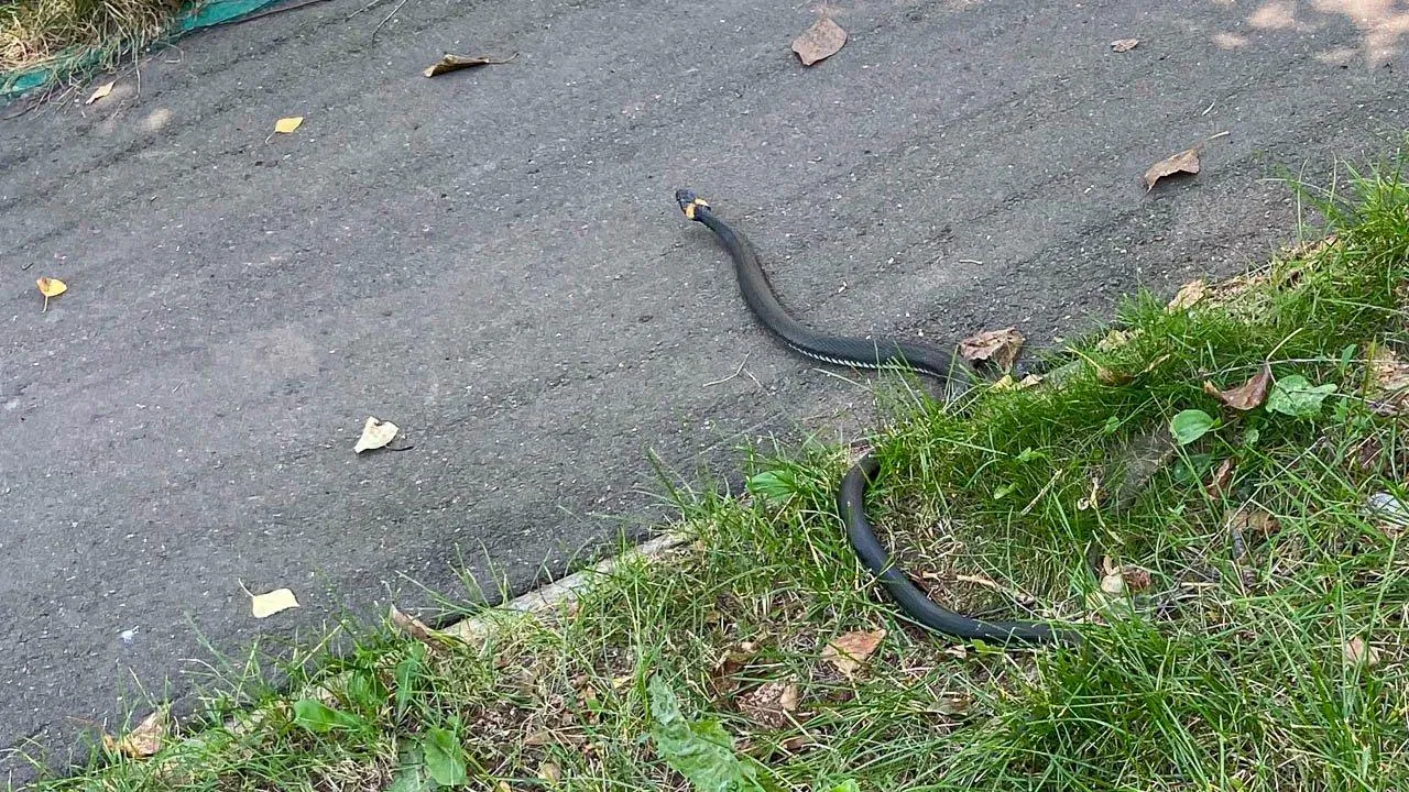 REGIONS/Владимир Ерастов