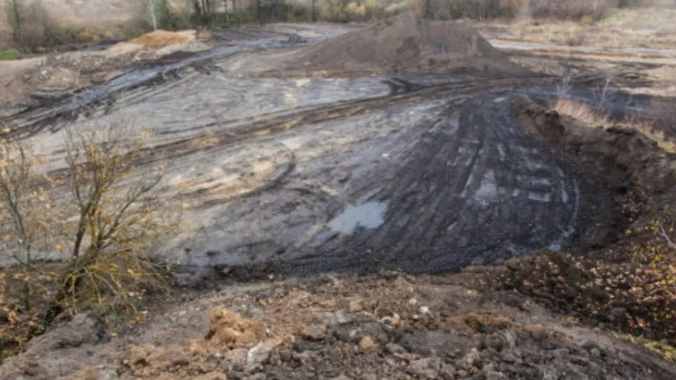 Фото: Владимир Шленсков