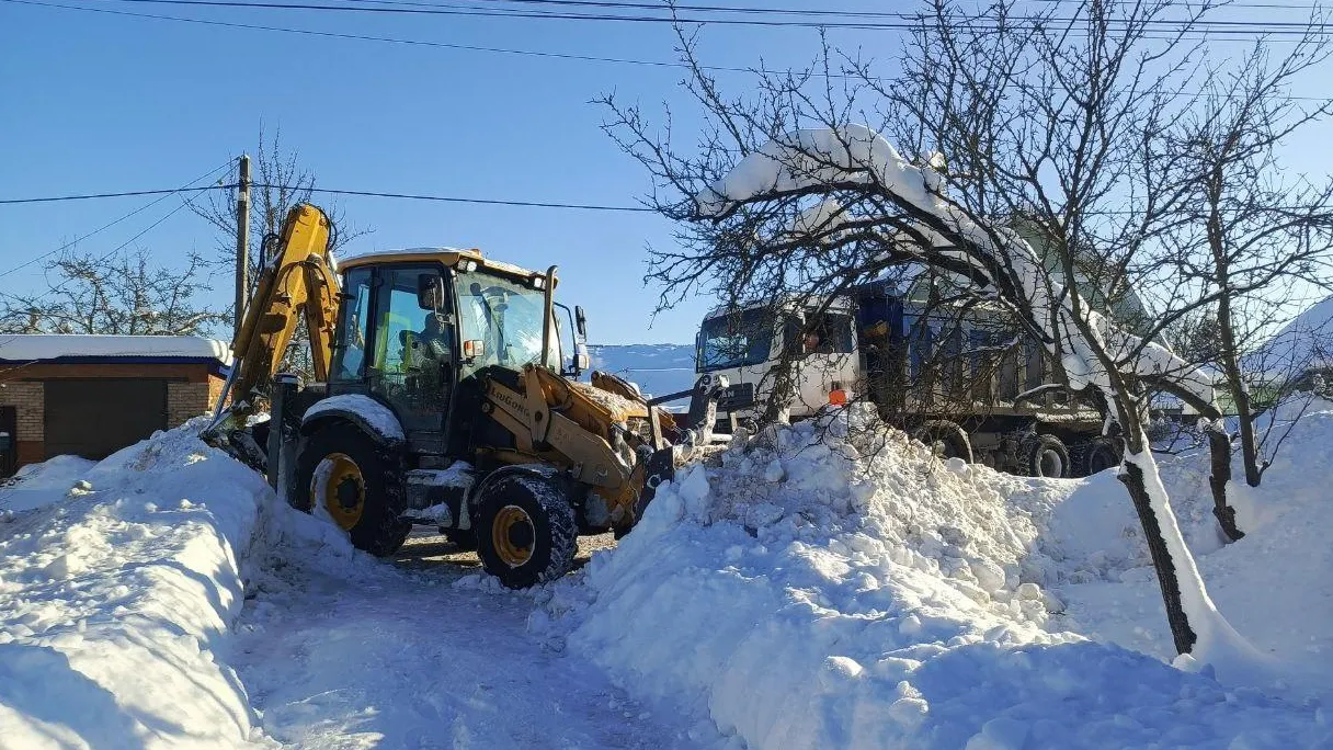 Анна Артюшина