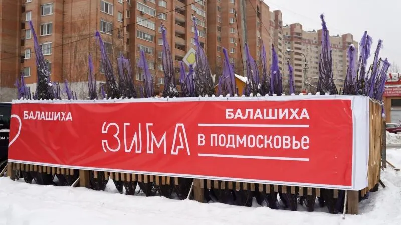 Двадцать шесть елочных базаров открыли в Балашихе
