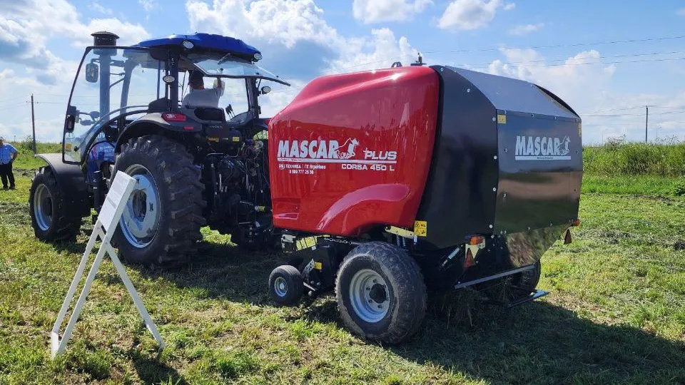 Фото: Евгений Рой