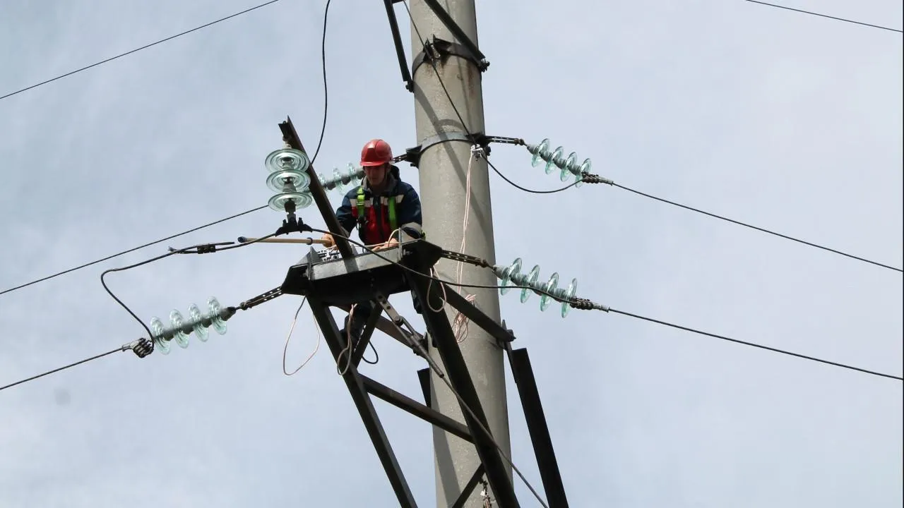 Фото: пресс-служба заместителя председателя правительства Московской области Дмитрия Пестова