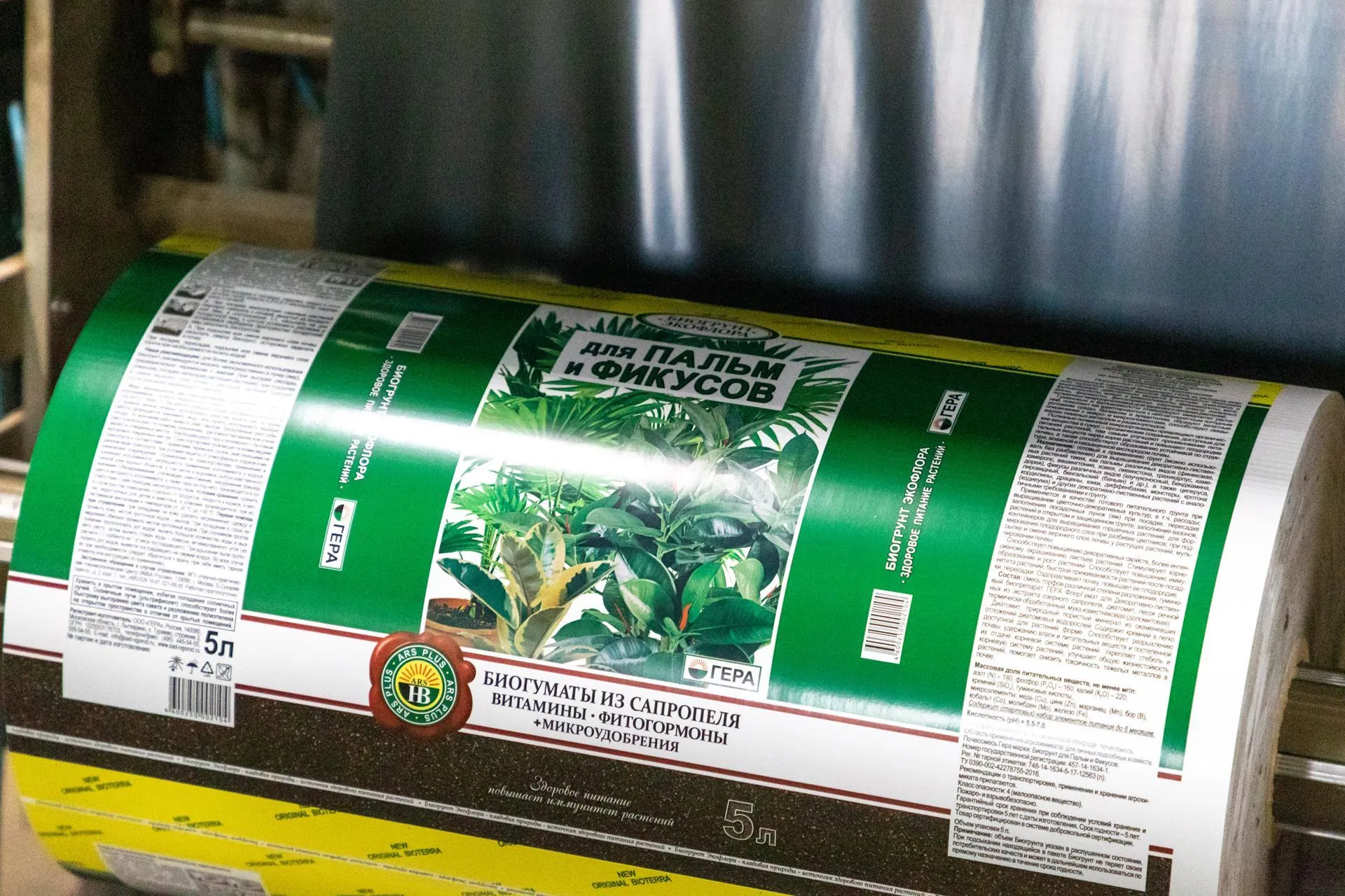 Фото: Анастасия Харченко