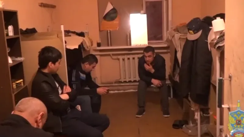 Сотню мигрантов-нелегалов нашли полицейские в Павловском Посаде