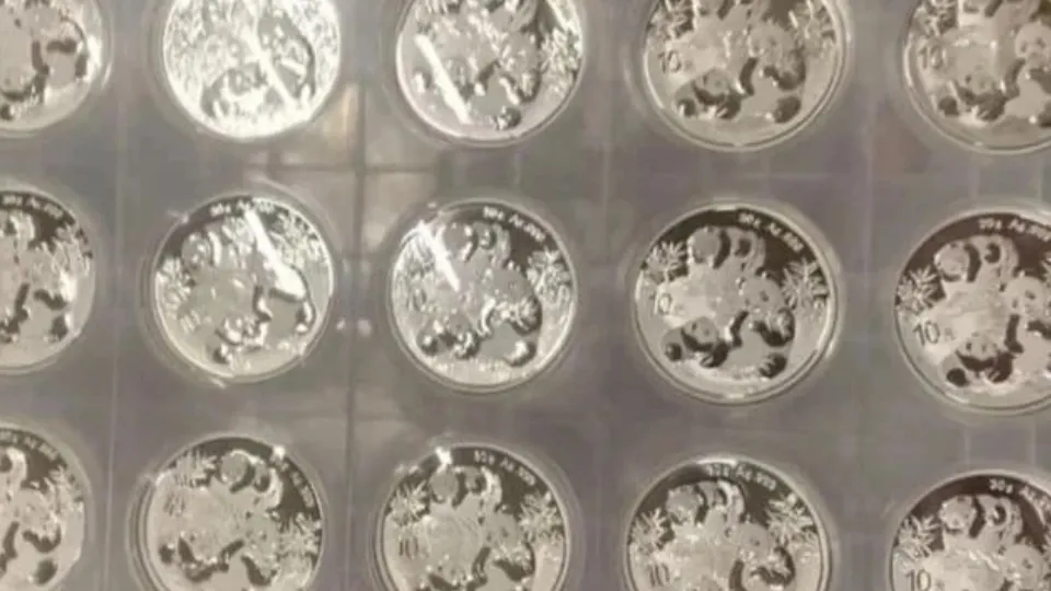 Фото: пресс-служба ФТС России