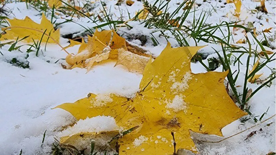 Фото: REGIONS/Наталия Надточая