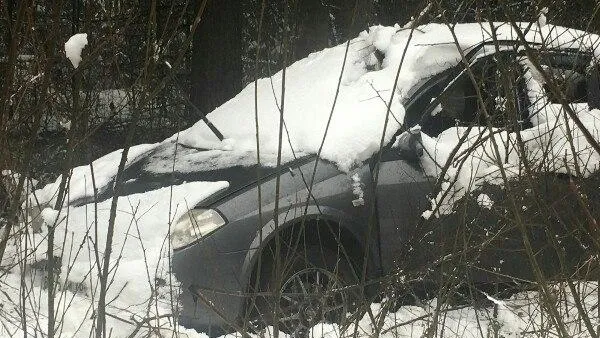Водителя, пропавшего под Сергиевым Посадом, нашли без памяти