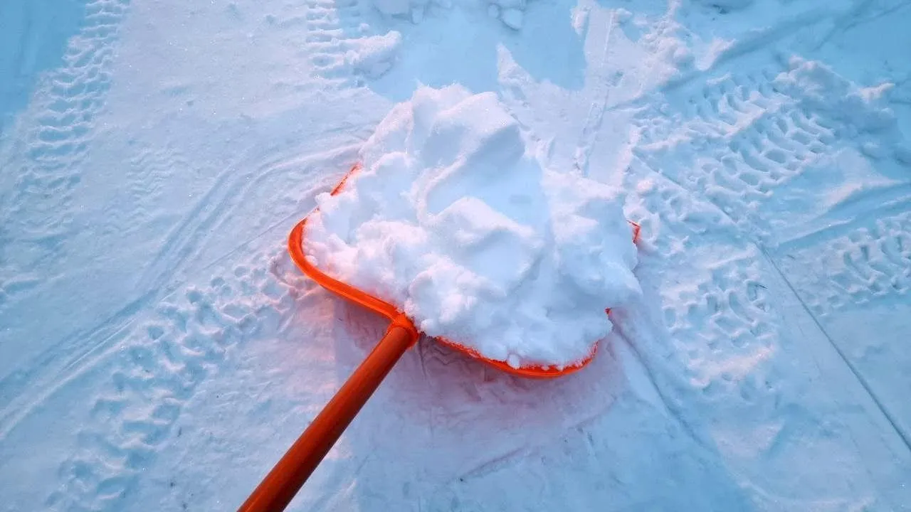 REGIONS/Юлия Алабина