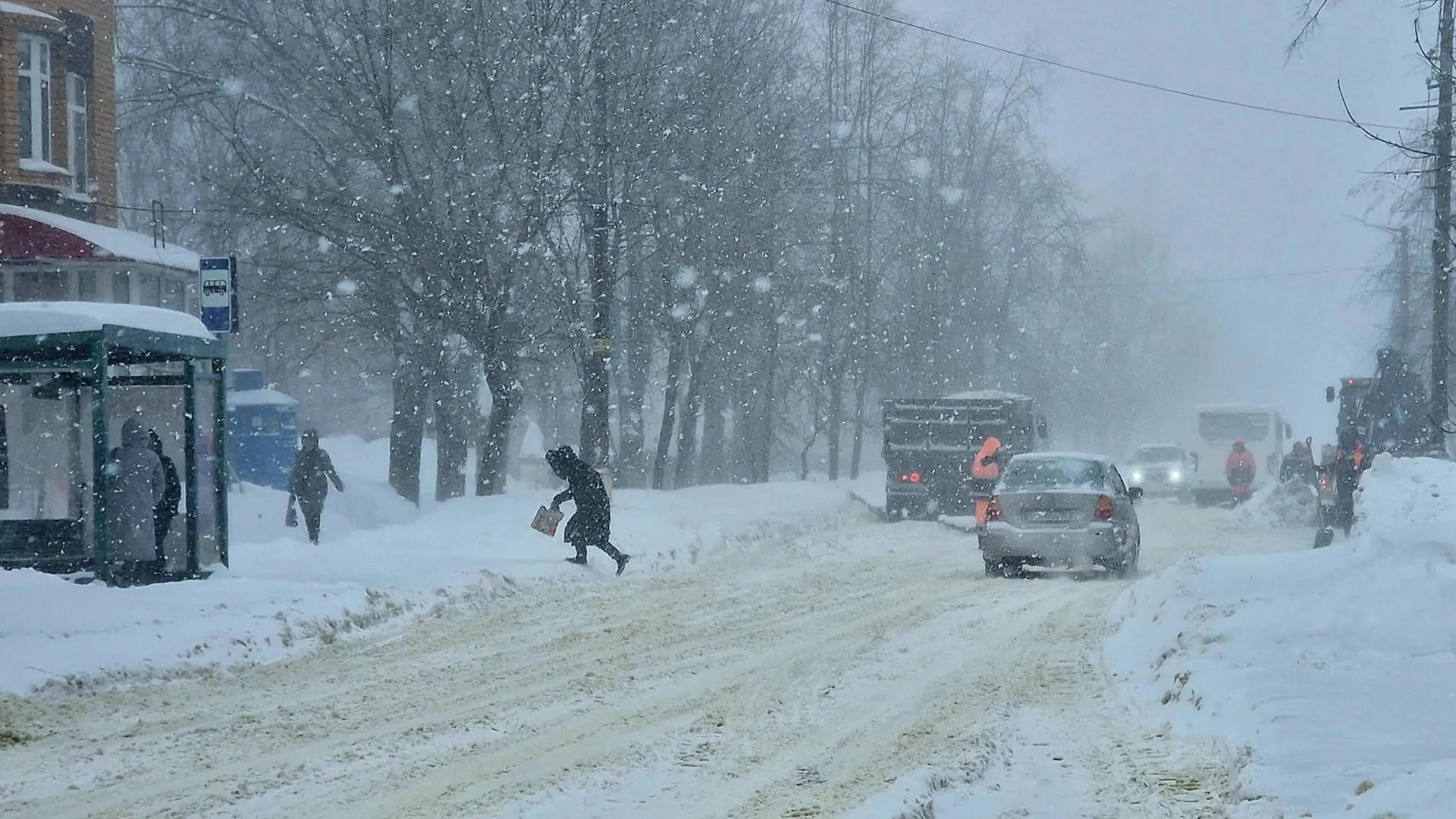 REGIONS/Ольга Шаронова