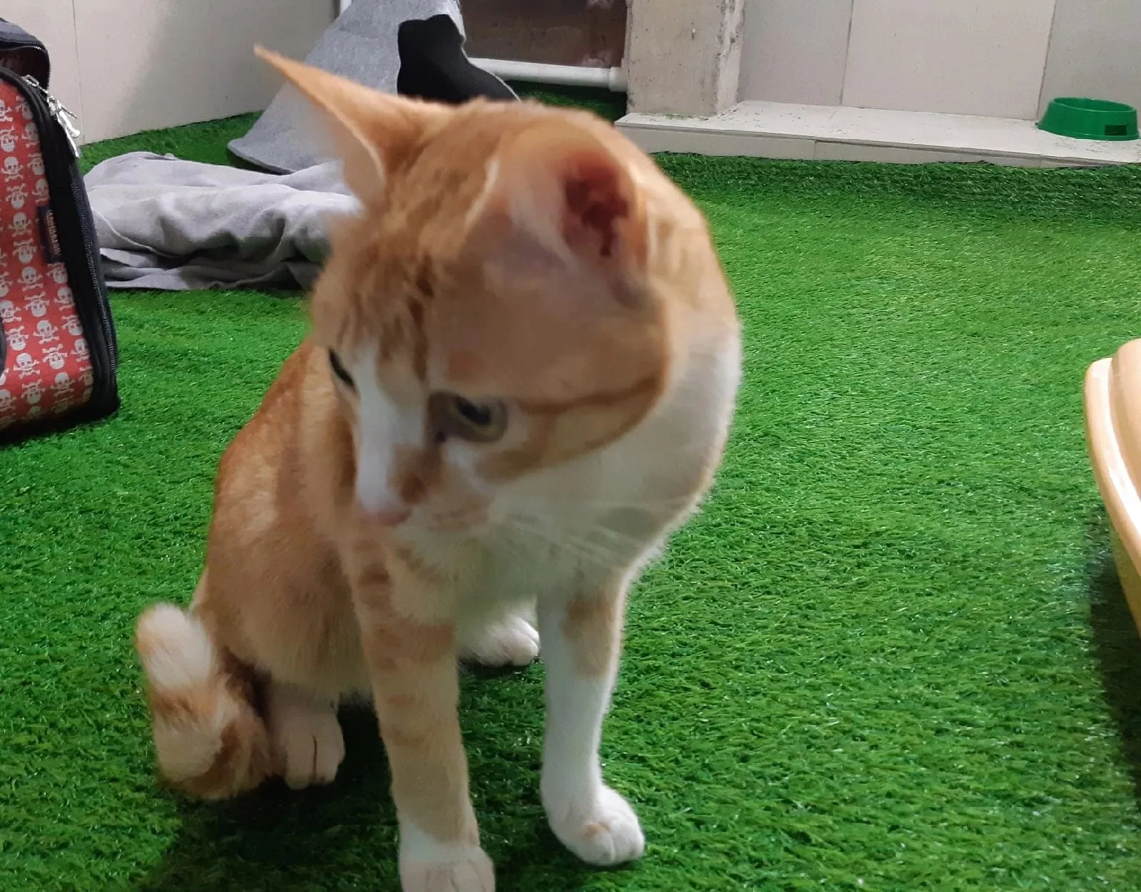 Фото: Сергей Сысоев&nbsp;