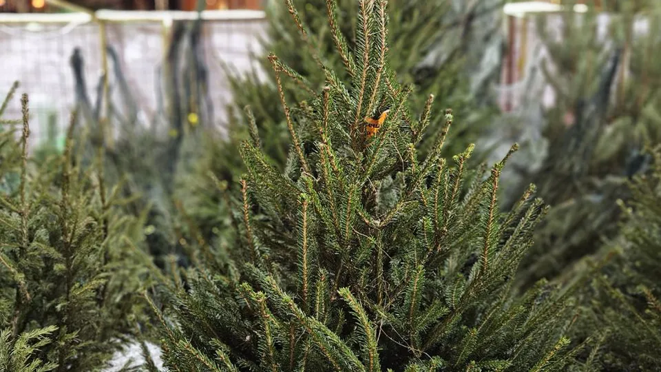 Фото: пресс-служба Министерства по содержанию территорий и государственному жилищному надзору Московской области