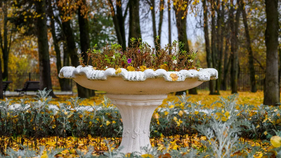 Фото: медиасток.рф