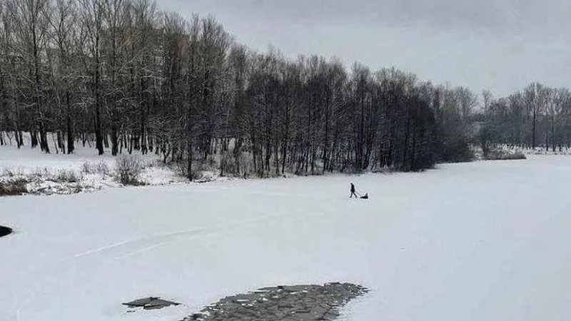 Горожане возмущены отцом, катающим ребенка по едва подмерзшей реке в Балашихе
