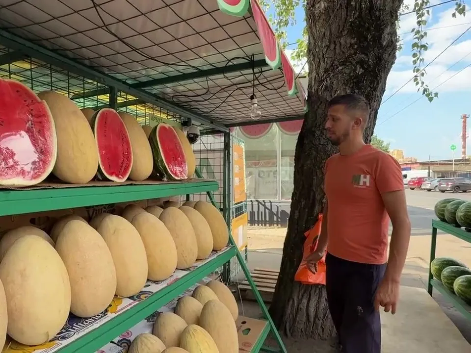 Фото: МедиаБанк Подмосковья/Ксения Казакова