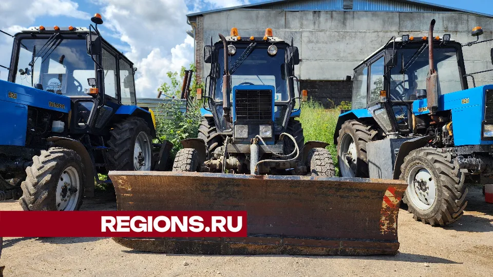 Фото: Светлана Плотникова