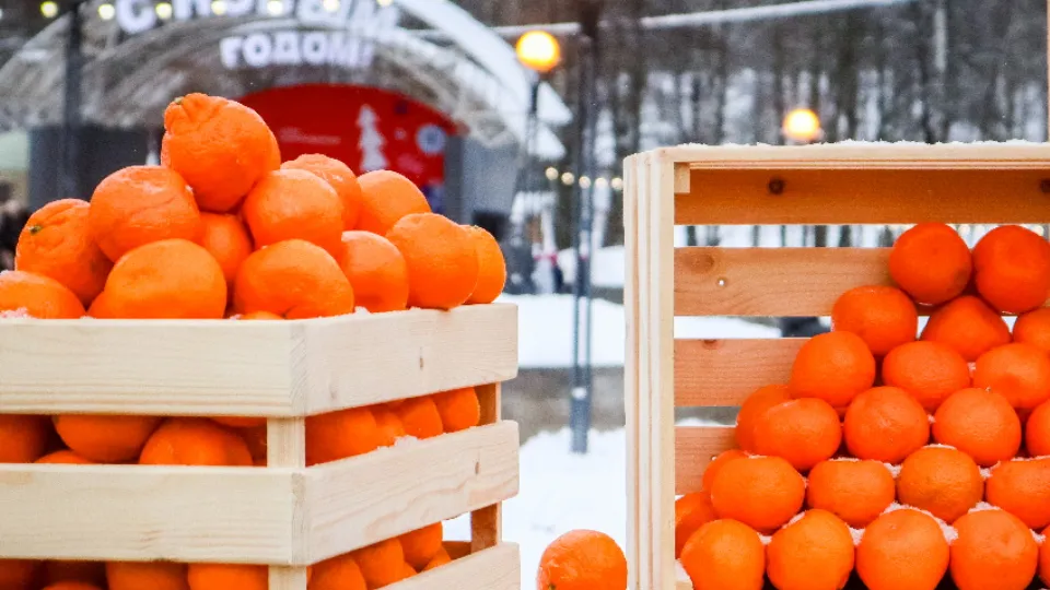 Фото: МедиаБанк Подмосковья/Данила Кирьянов