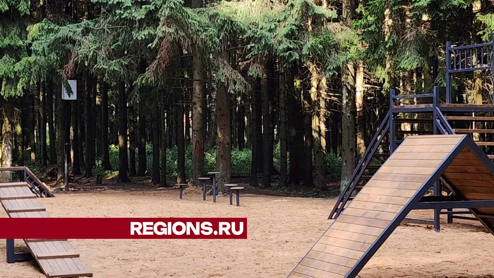 Фото: Хавива Фонина