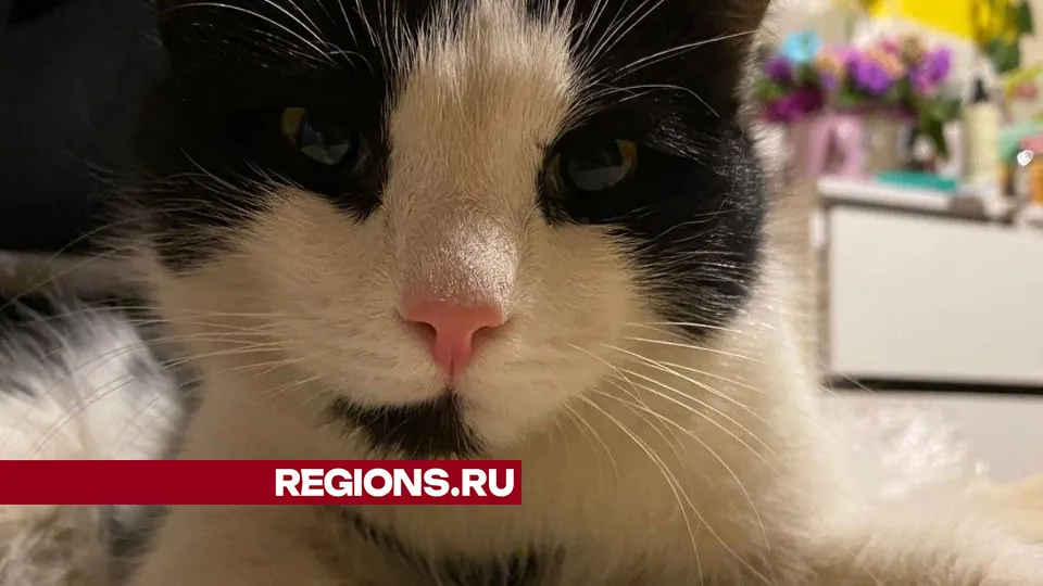 Фото: личный архив Екатерины Щедриной