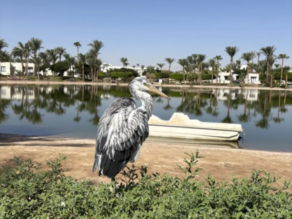 Фото: REGIONS/Елена Шаяхметова