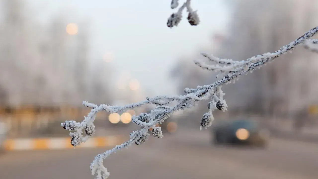 медиасток.рф