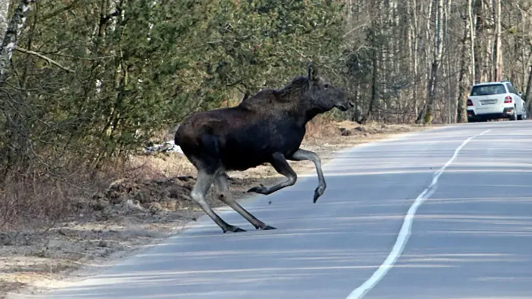 РИА "Новости"