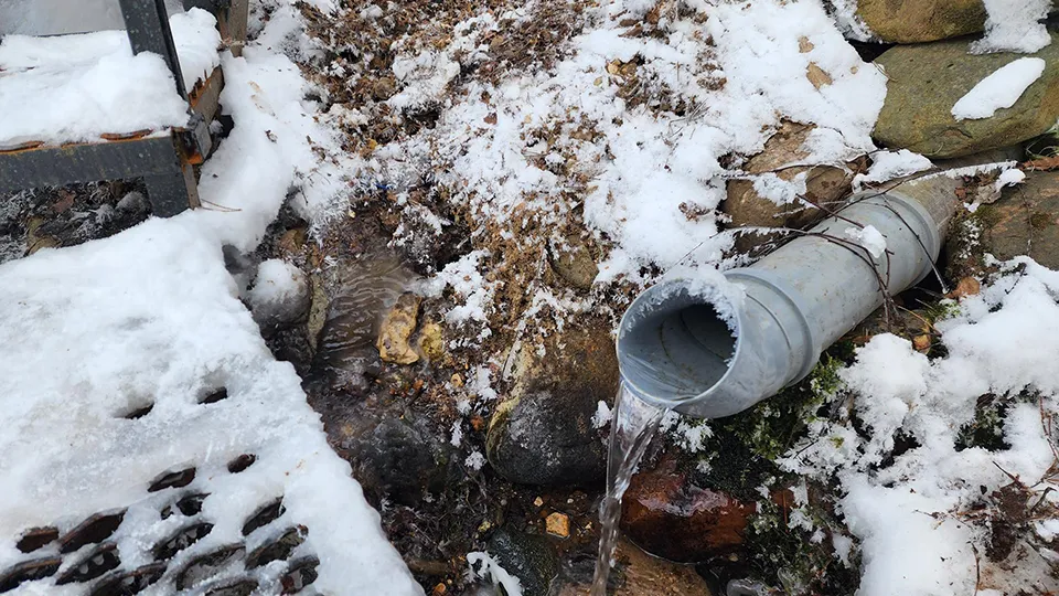 Фото: МедиаБанк Подмосковья/Екатерина Мелкозерова