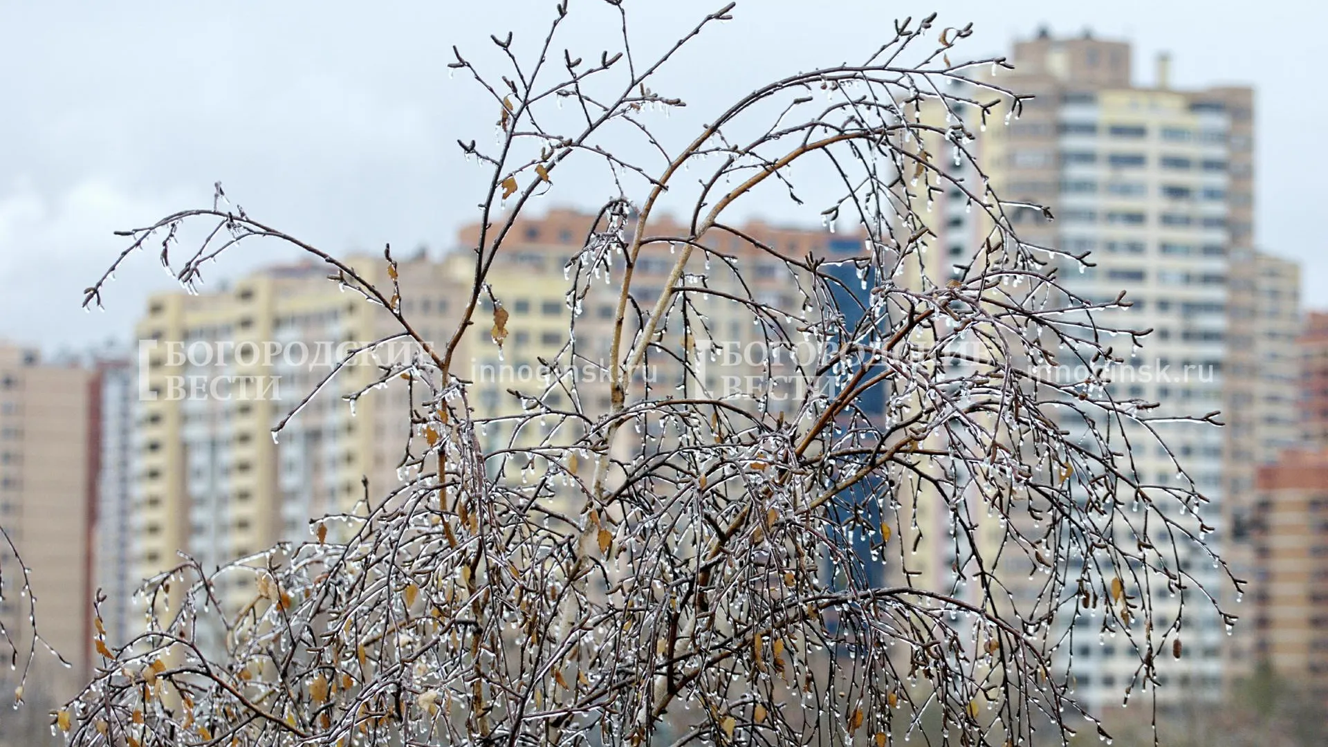 REGIONS/Александр Легкий