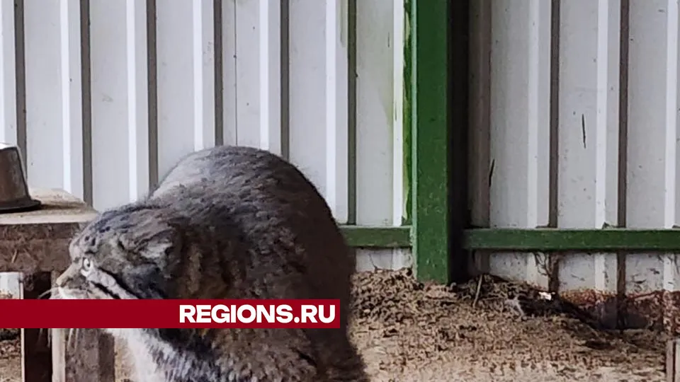 Фото: Дмитрий Беденко