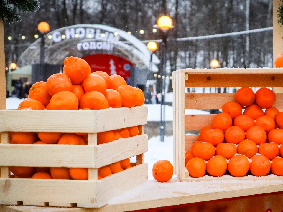 Фото: МедиаБанк Подмосковья/Данила Кирьянов