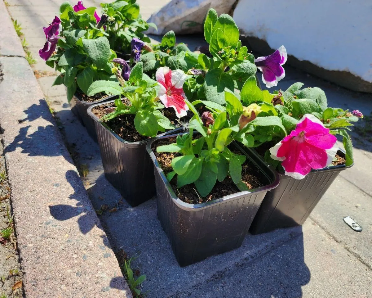 Фото: Яна Шаливская