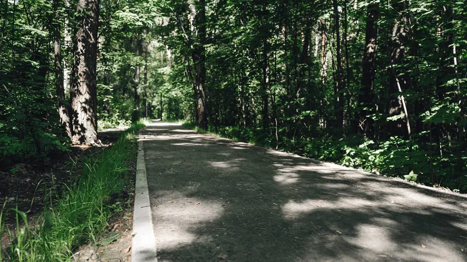 Фото: пресс-служба администрации г.о. Щелково