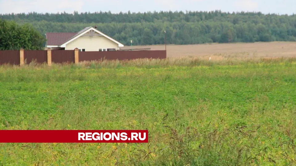 Фото: REGIONS/Василий Тремасов