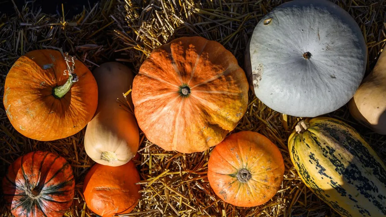 медиасток.рф