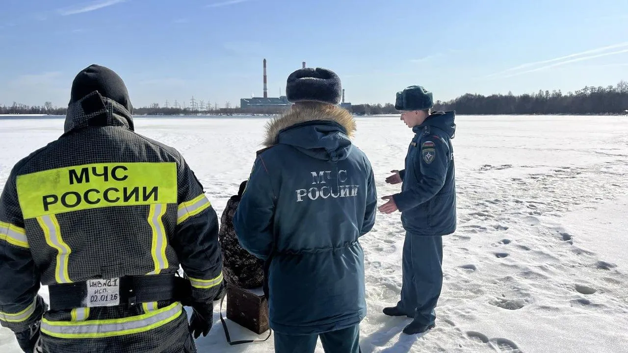 МедиаБанк Подмосковья/Ангелина Стельмух