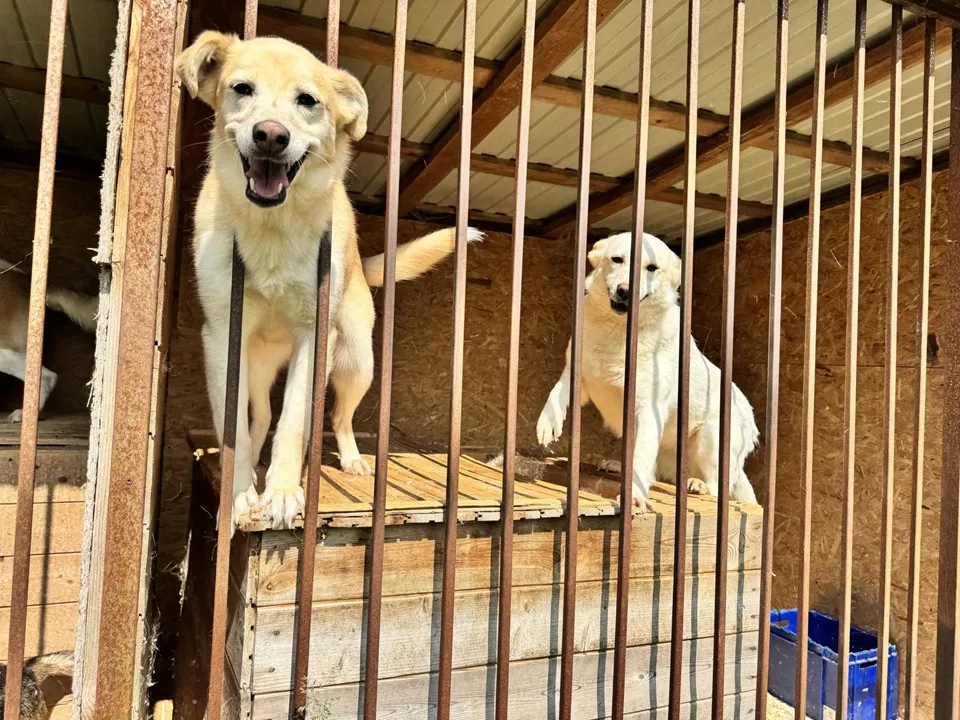 Фото: Татьяна Рунова