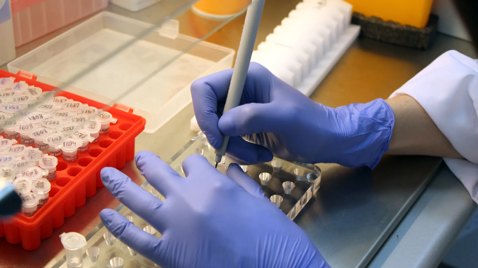 Геномный центр «Северный» в Долгопрудном