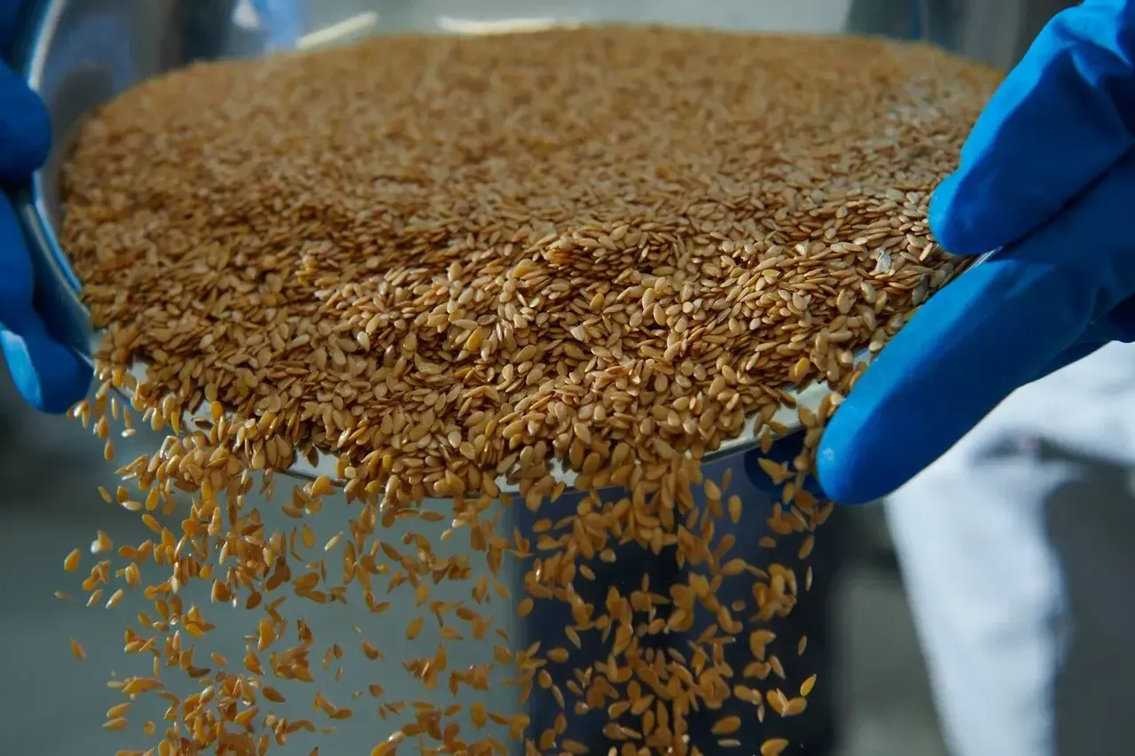 Пресс-служба Департамента инвестиционной и промышленной политики Москвы