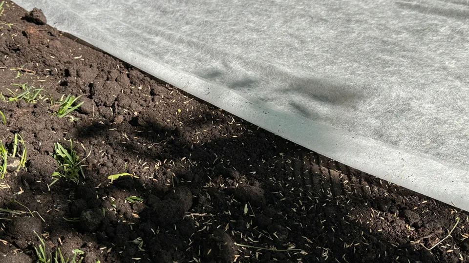 Фото: МедиаБанк Подмосковья/Мария Шматкова