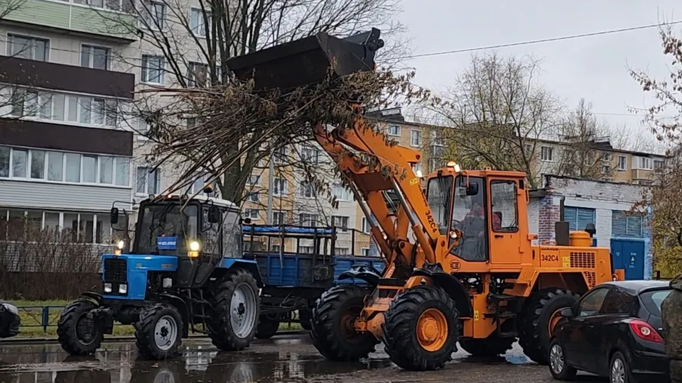 Фото: Ольга Антонова