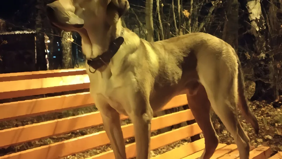 Фото: Алина Блохина