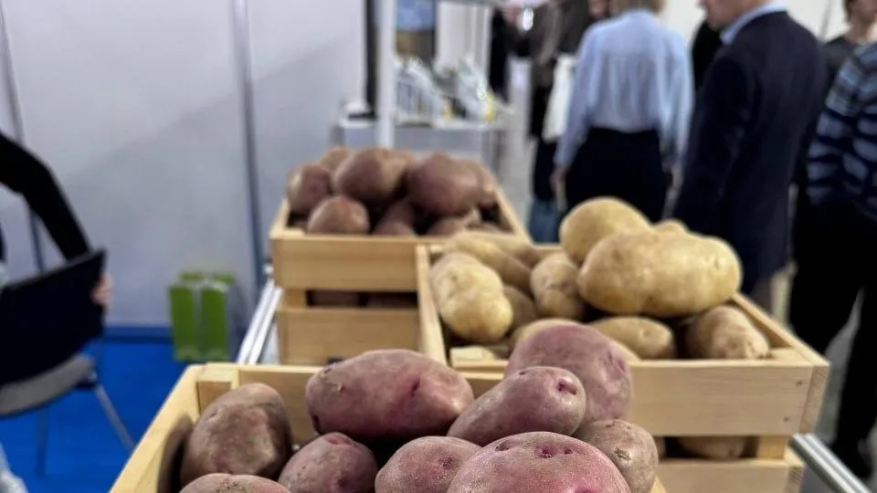 Фото: АО «Озеры»