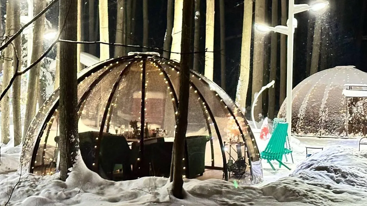 Фото: телеграм-канал «Парки Электростали»