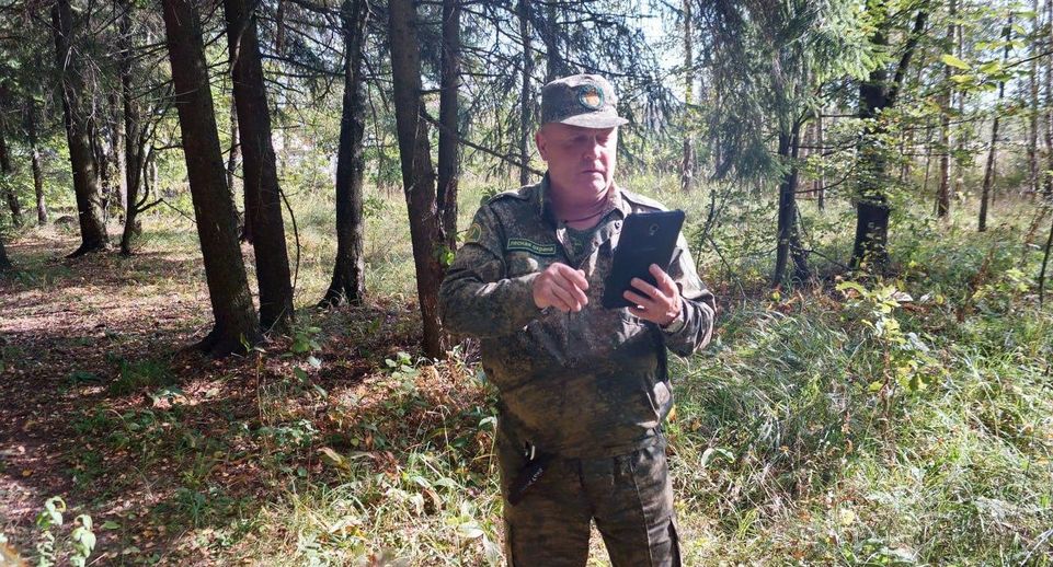 Лесная охрана Подмосковья провела 1,3 тысячи патрулирований за неделю