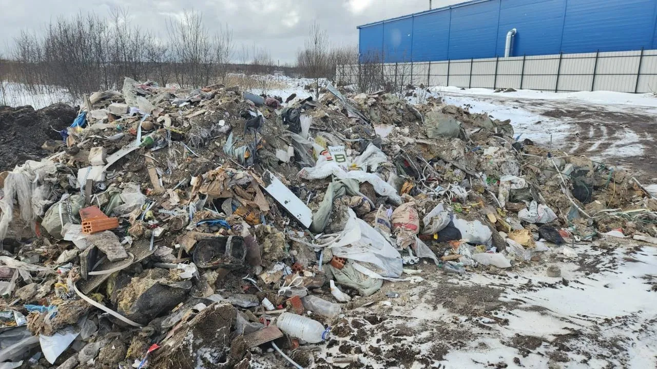 Фото: t.me/ecmoru