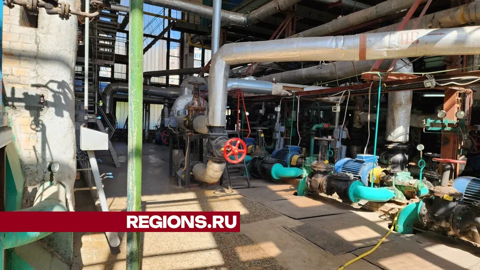 Фото: Мария Андрюхина